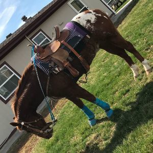 Meet your Posher, Anette